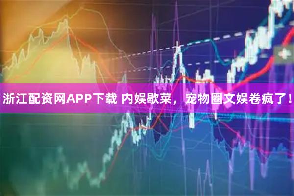 浙江配资网APP下载 内娱歇菜，宠物圈文娱卷疯了！