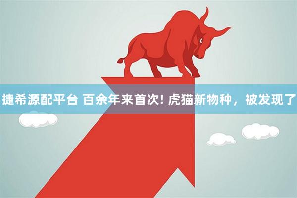 捷希源配平台 百余年来首次! 虎猫新物种，被发现了